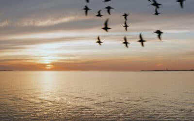 Weekly Roundup: Jackson County Economic Development Foundation News Clips