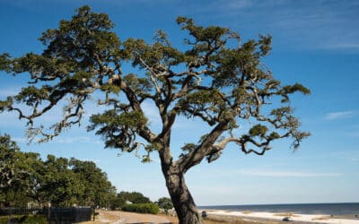 Weekly Roundup: Jackson County Economic Development Foundation News Clips August 12th