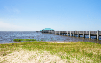 Weekly Roundup: Jackson County Economic Development Foundation News Clips August 29th