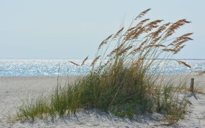 Weekly Roundup: Jackson County Economic Development Foundation News Clips April 17th