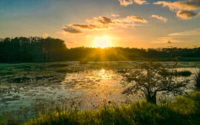 Weekly Roundup: Jackson County Economic Development Foundation News Clips July 1-15, 2023