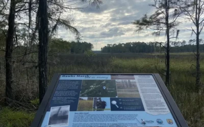 Weekly Roundup: Jackson County Economic Development Foundation News Clips November 14 – November 26, 2024